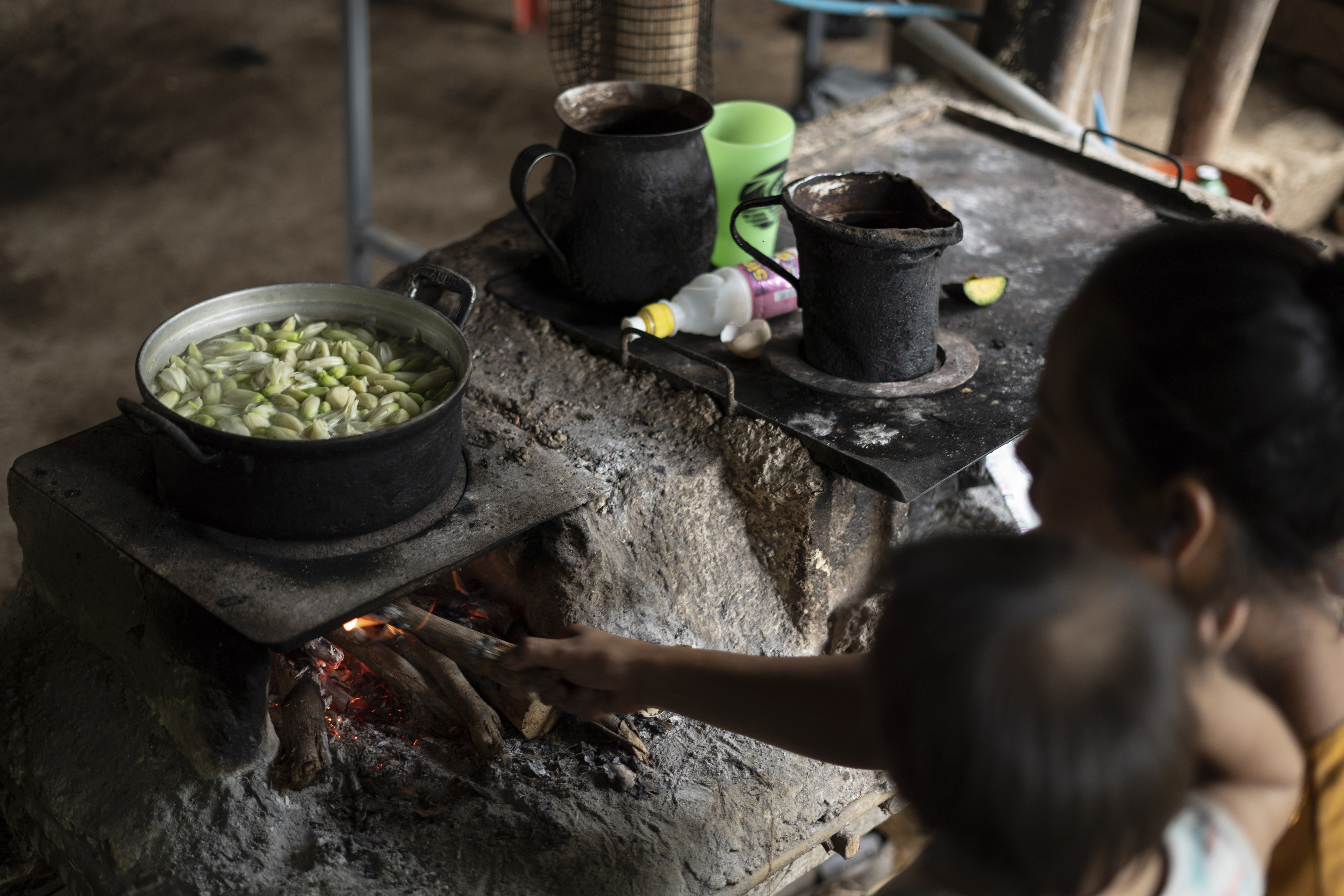 Today, Ruth Marleni and her nine children will eat flor de izote a few hours before noon — a lunch of Yucca flowers, harvested from their yard where it grows as a living fence. Ruth’s daughter-in-law and three grandchildren, who live with her and whom she cares for most days, will join them for the meal. To cook the izote, she simmers the flowers in water flavored with mint leaves that she picks from a small home garden, improvised out of rusty sheets of corrugated tin. Today, at her home in the canton of El Jícaro, in the municipality of Tacuba, Ahuachapán, she is cooking the izote over fire. The gas ran out a week ago, and the $8.04 subsidy provided by the government is not enough to cover the cost of a 25-pound tank, which typically lasts the family just ten days. Ruth and her family also lack the $0.35 they need to take their corn to the mill, so they make do by grinding it on stone, preparing the masa and tortillas at home to supplement the izote.